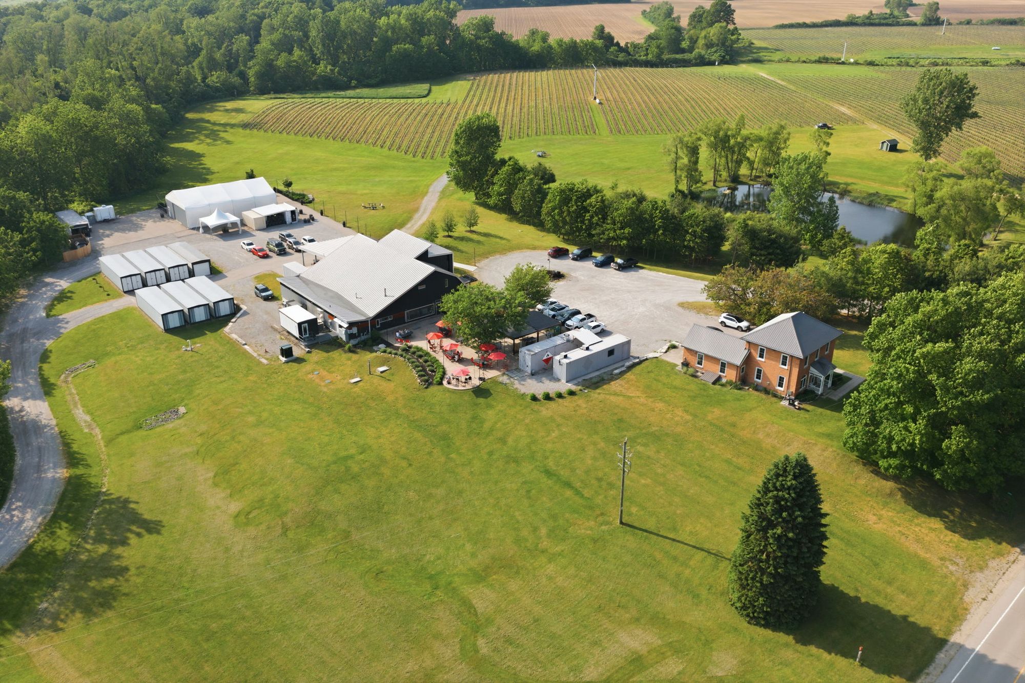 The winery, the guest house and the outbuildings from above, the vines beyond