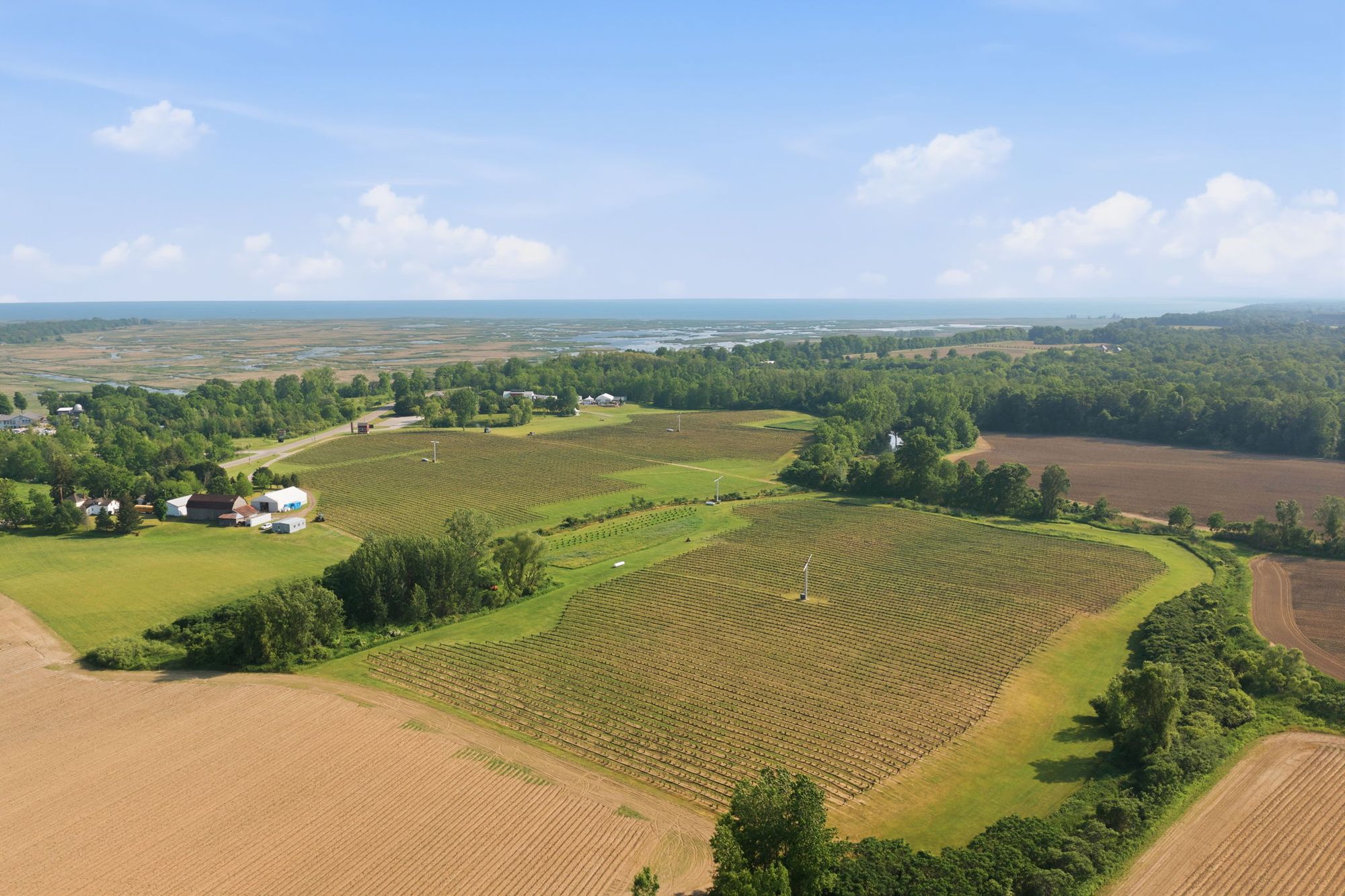 The vineyard and the farmland of the area, from the air