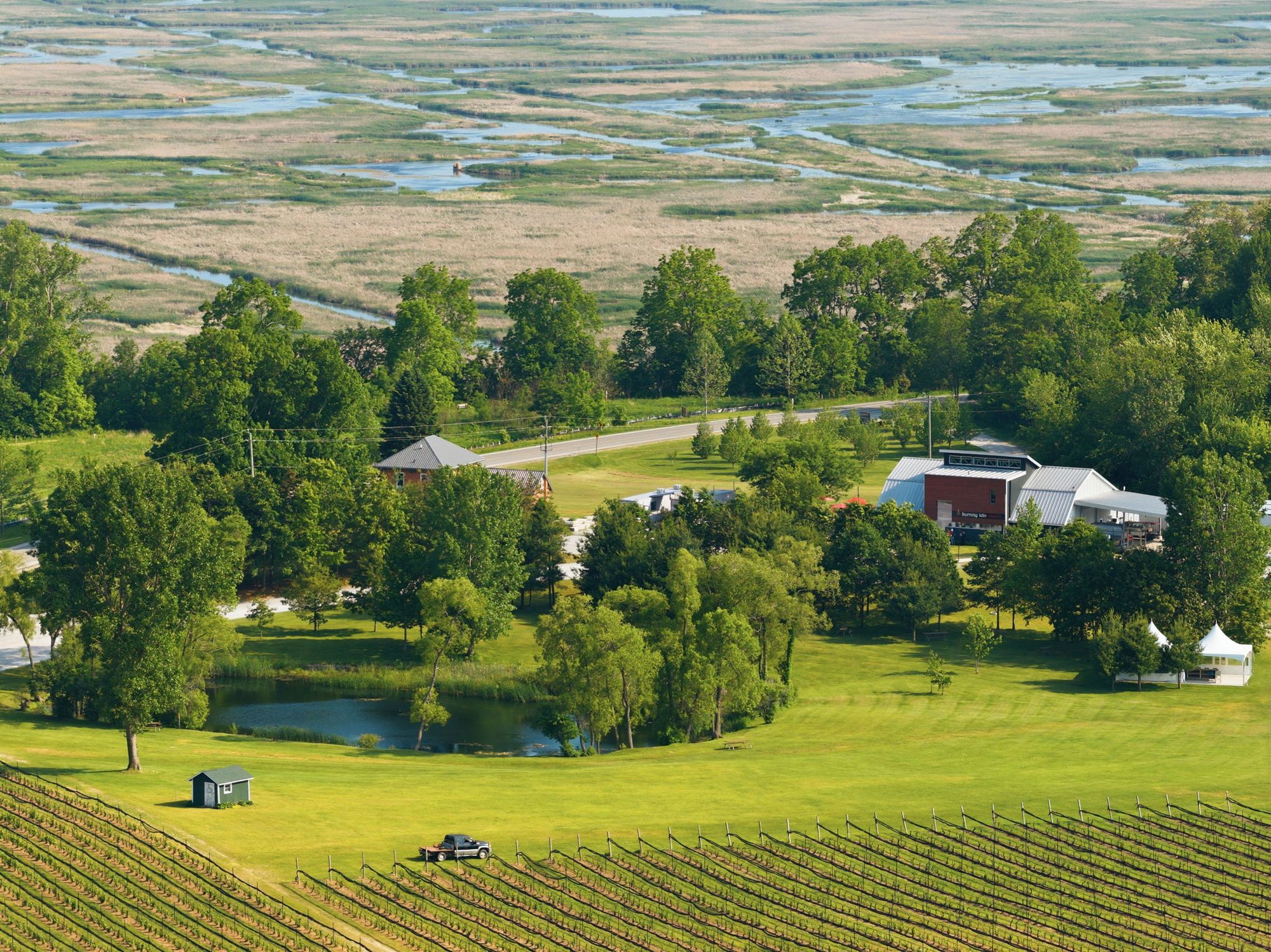 Over the vines and the pond to the marshlands