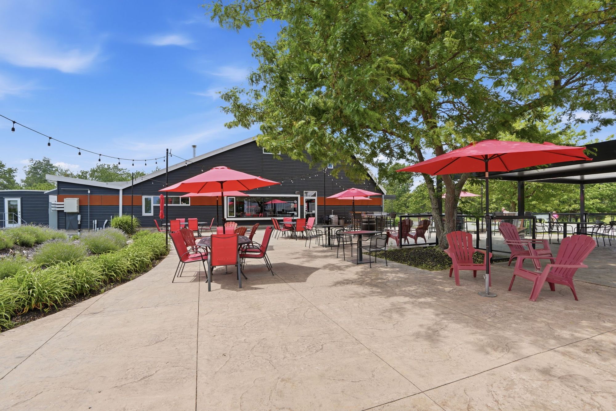 The patio with red umbrellas and Muskoka chairs under the trees