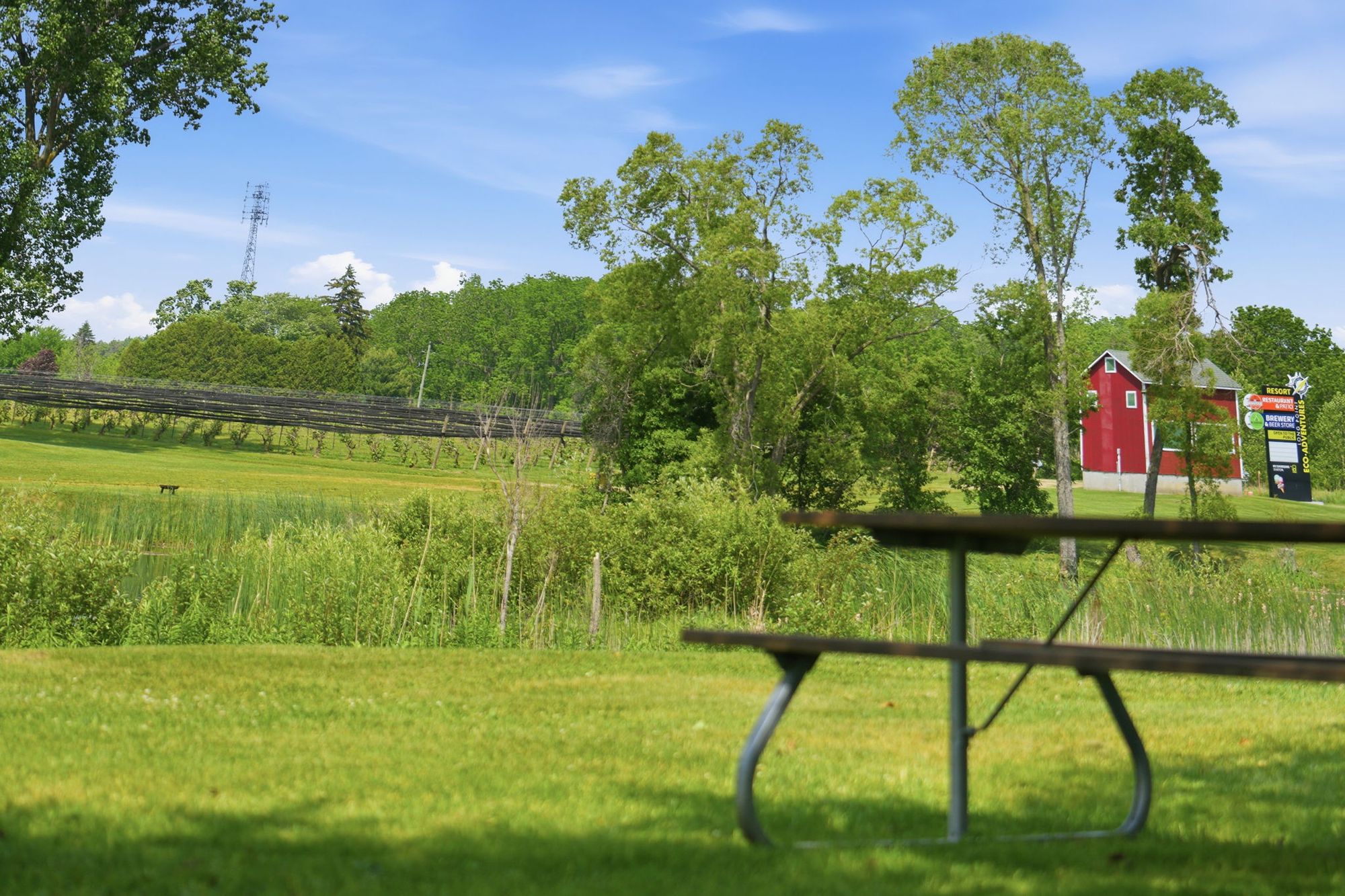 A picnic table by the pond, the red building by the road beyond