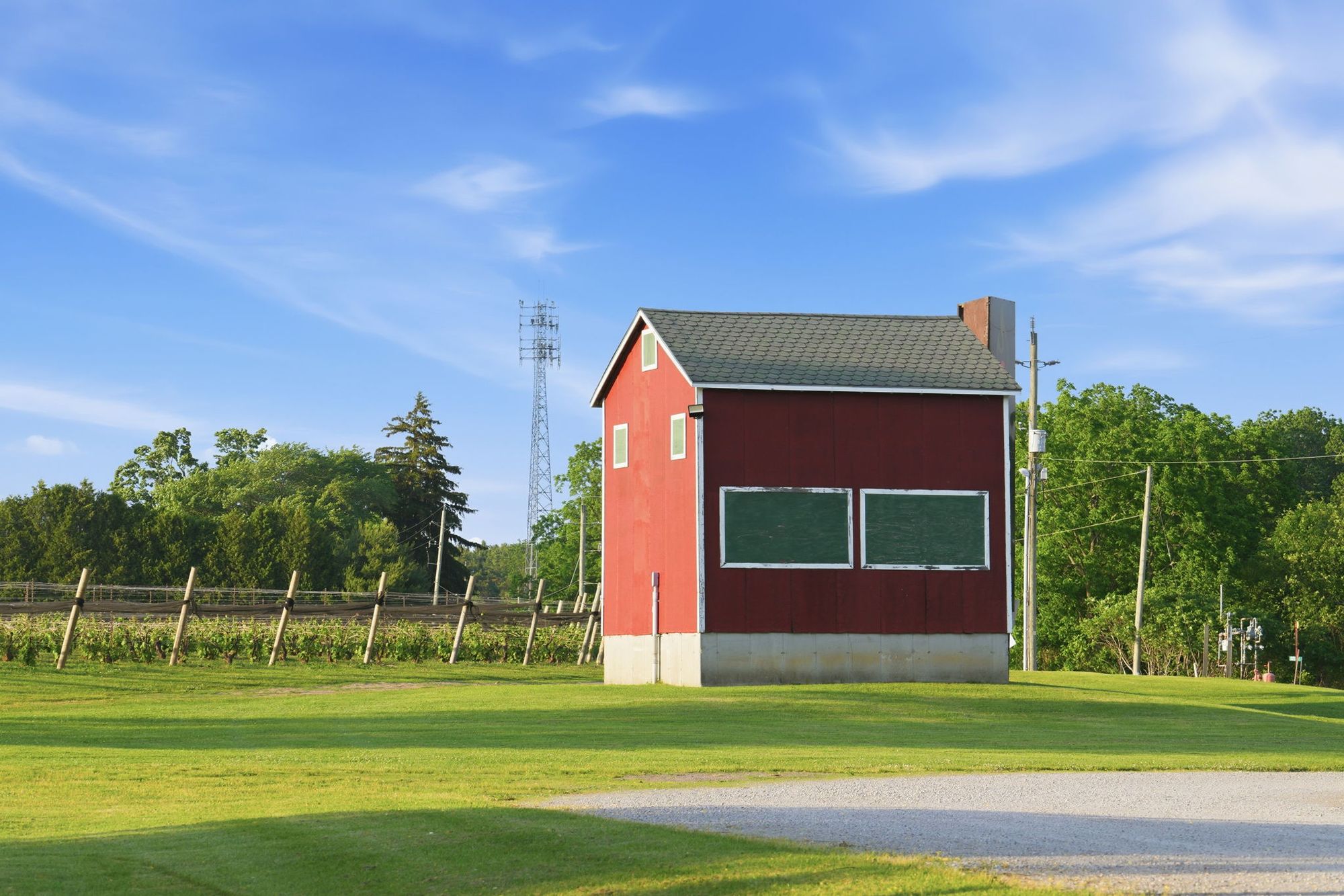 A red kiln-style building beside the vines