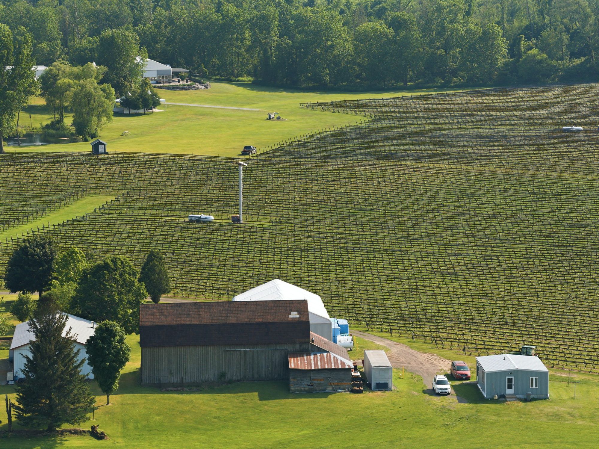 The vineyard and an outbuilding, from above