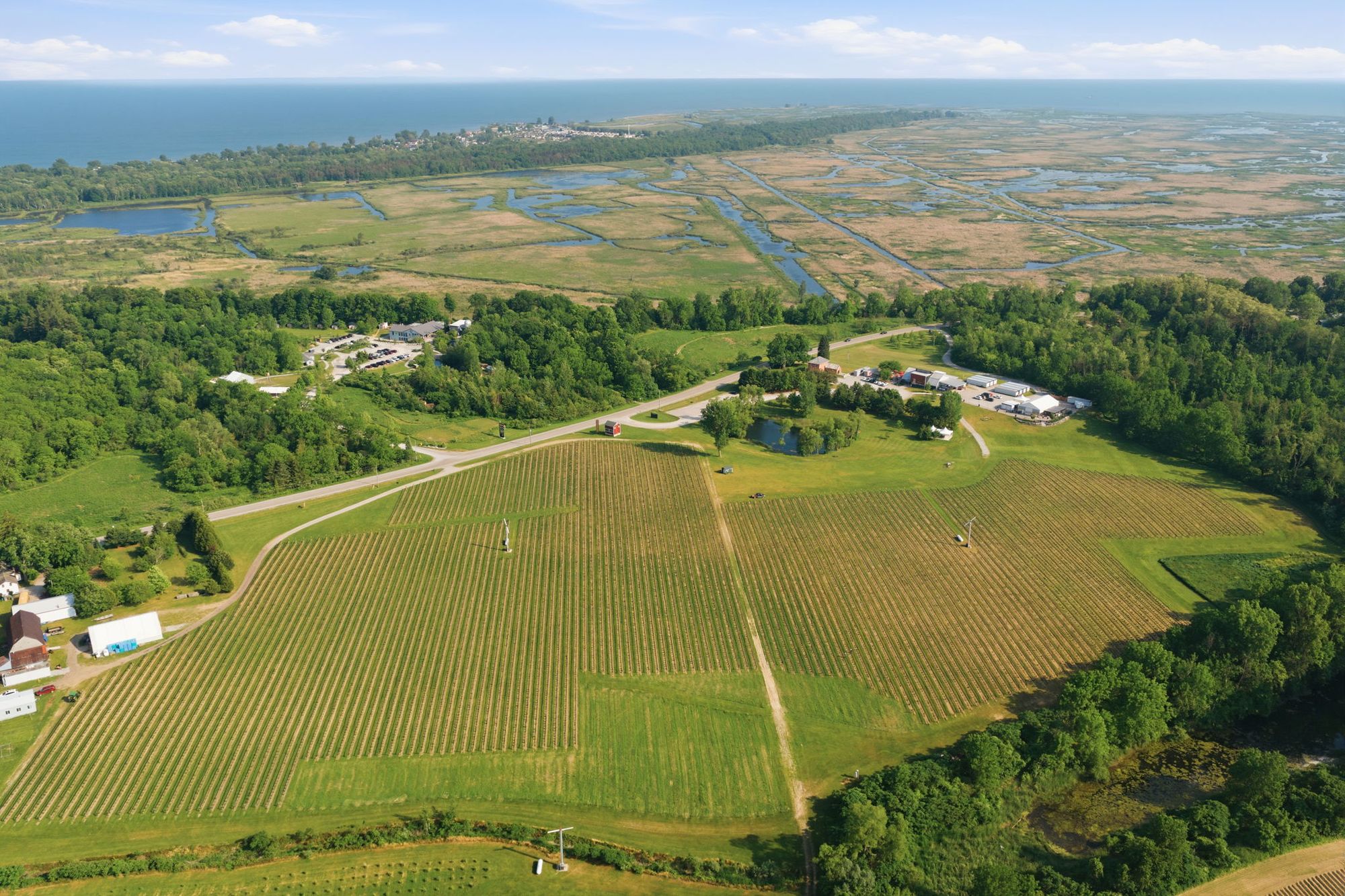 The vineyard, the winery and the Turkey Point Marshlands out to the lake, from the air
