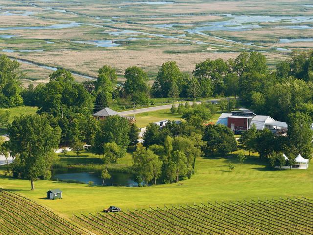 Over the vines and the pond to the marshlands