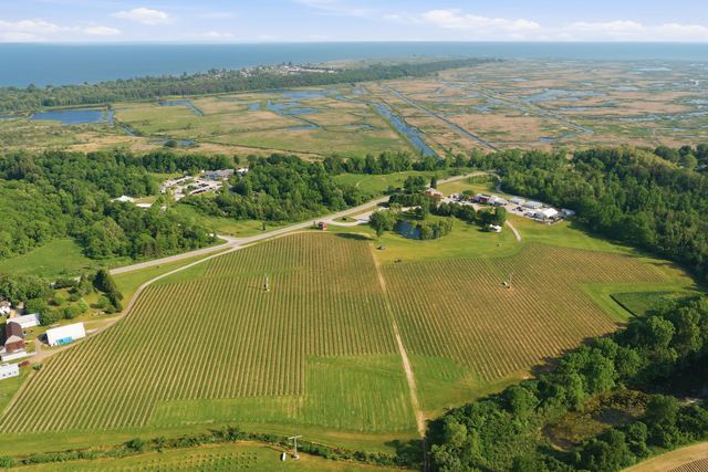 The vineyard, the winery and the Turkey Point Marshlands out to the lake, from the air